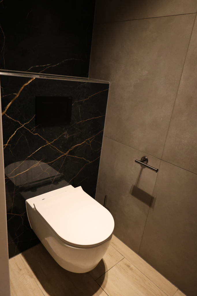 Bathroom and Toilet Renovation